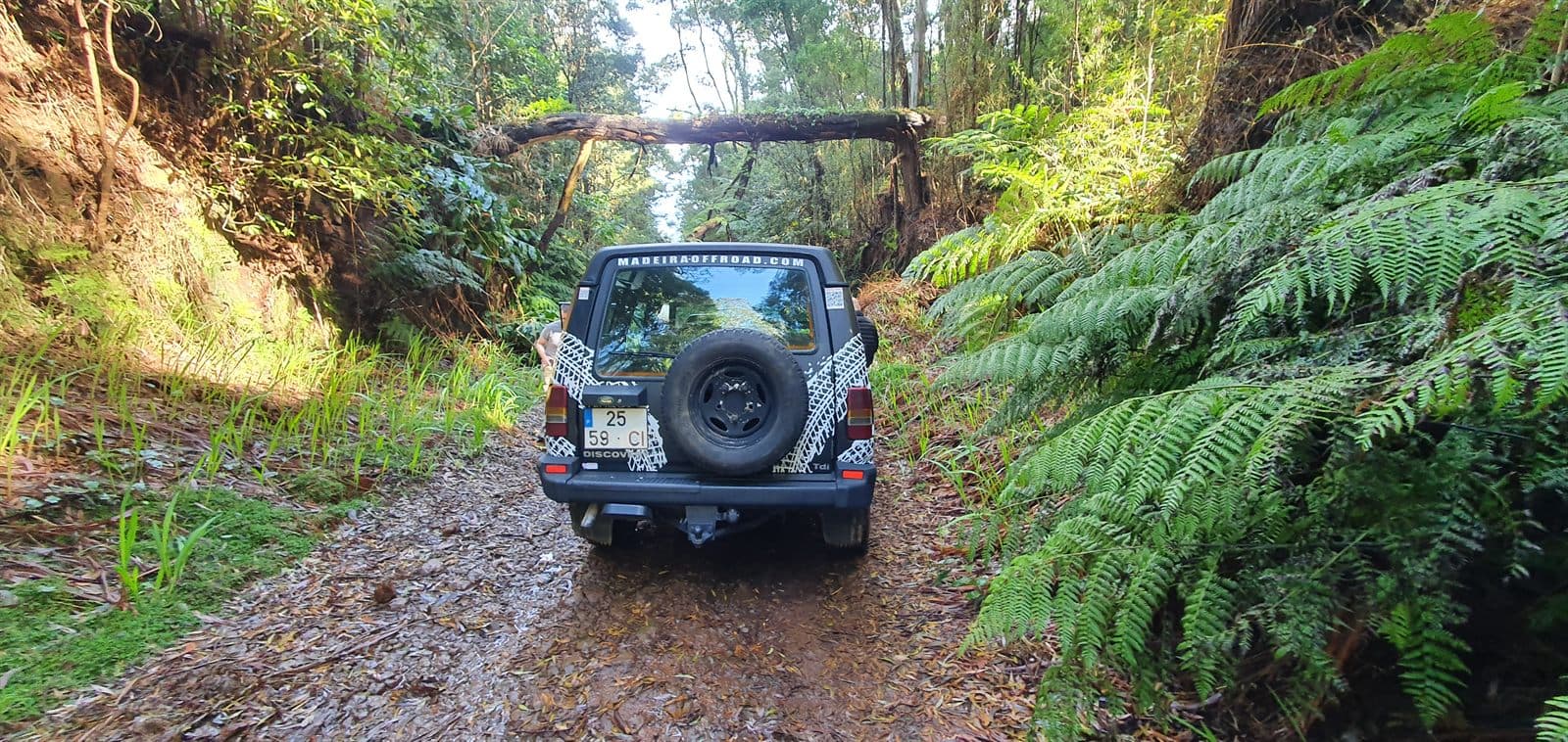 Land Rover Discovery on a muddy forest trail