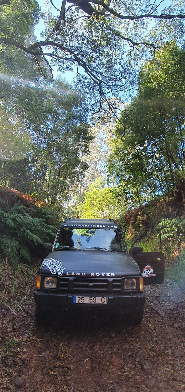 Land Rover Discovery in the laurel forest