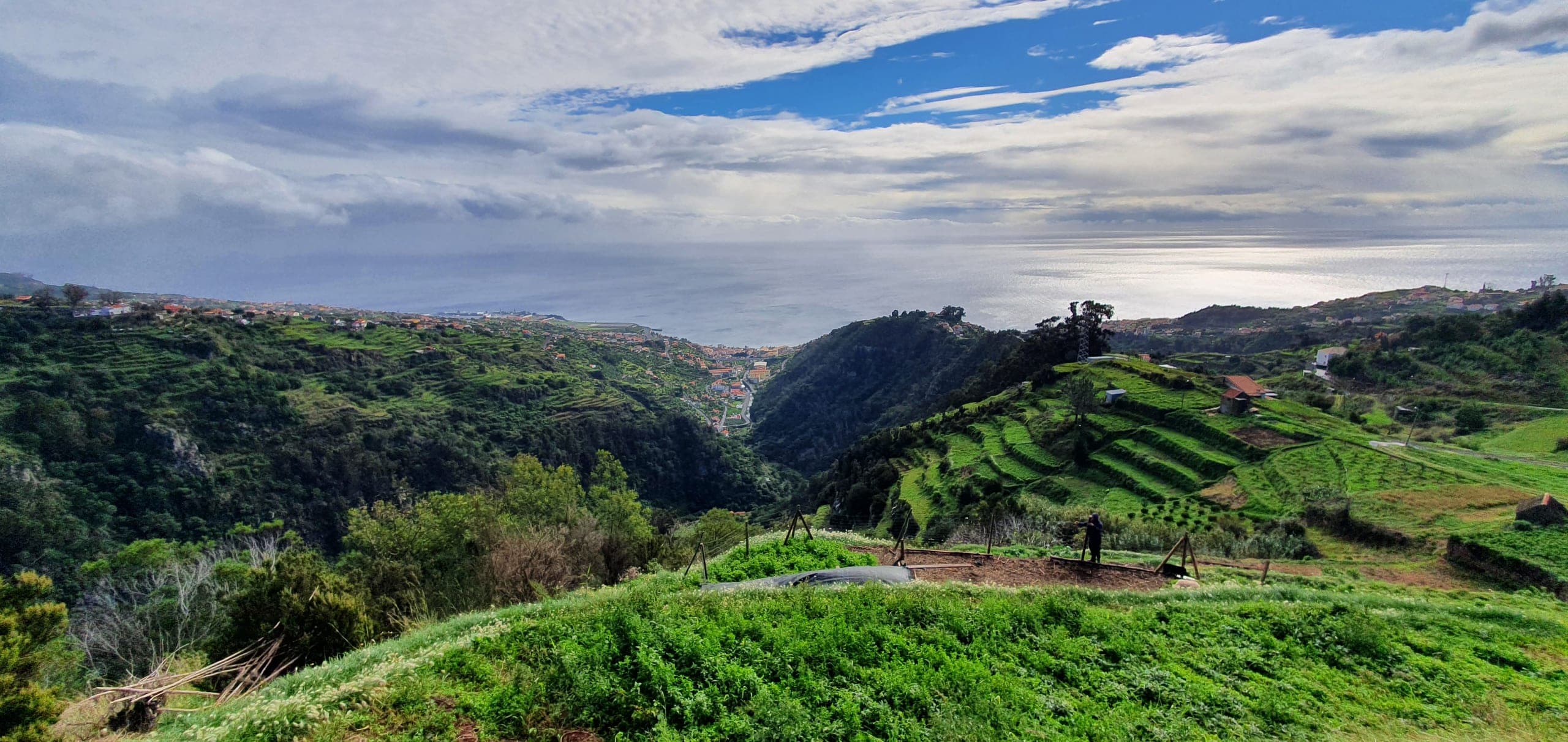 Terraced smallholdings dropping to the sea on Madeira's south coast